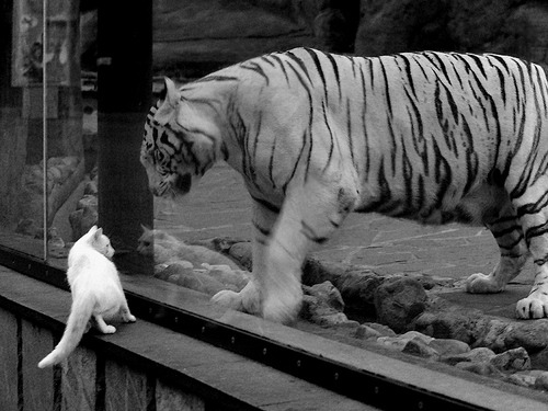 九游博彩-【经典比赛盘点】那些改变台球历史的瞬间，台球历史地位