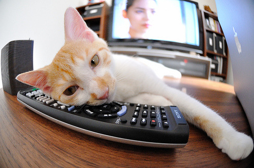 九游电竞平台官网-中国篮球运动在国际舞台上的逐渐崛起，简述中国篮球运动的发展情况