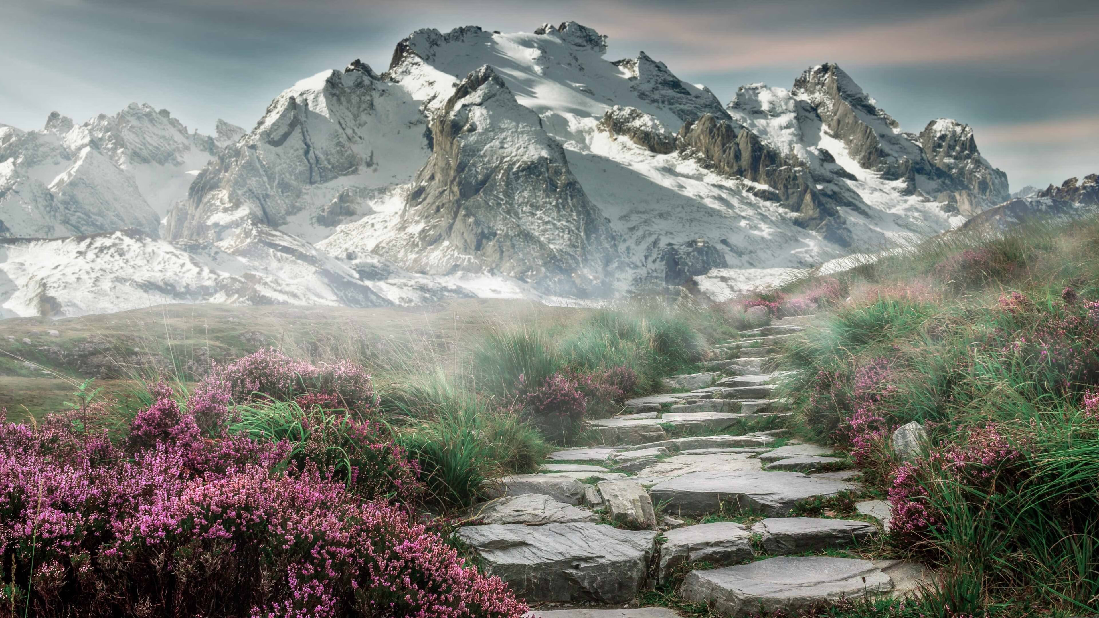 九游电竞平台官网-中国篮球运动在国际舞台上的逐渐崛起，简述中国篮球运动的发展情况